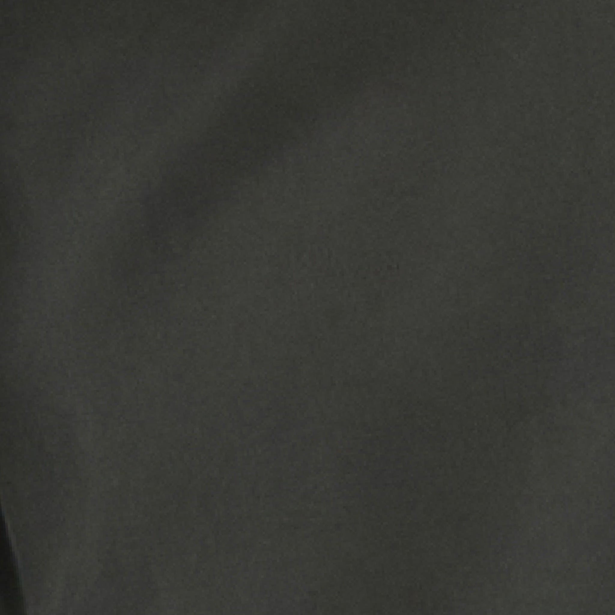 Wide Leg Tencel Pant Olive