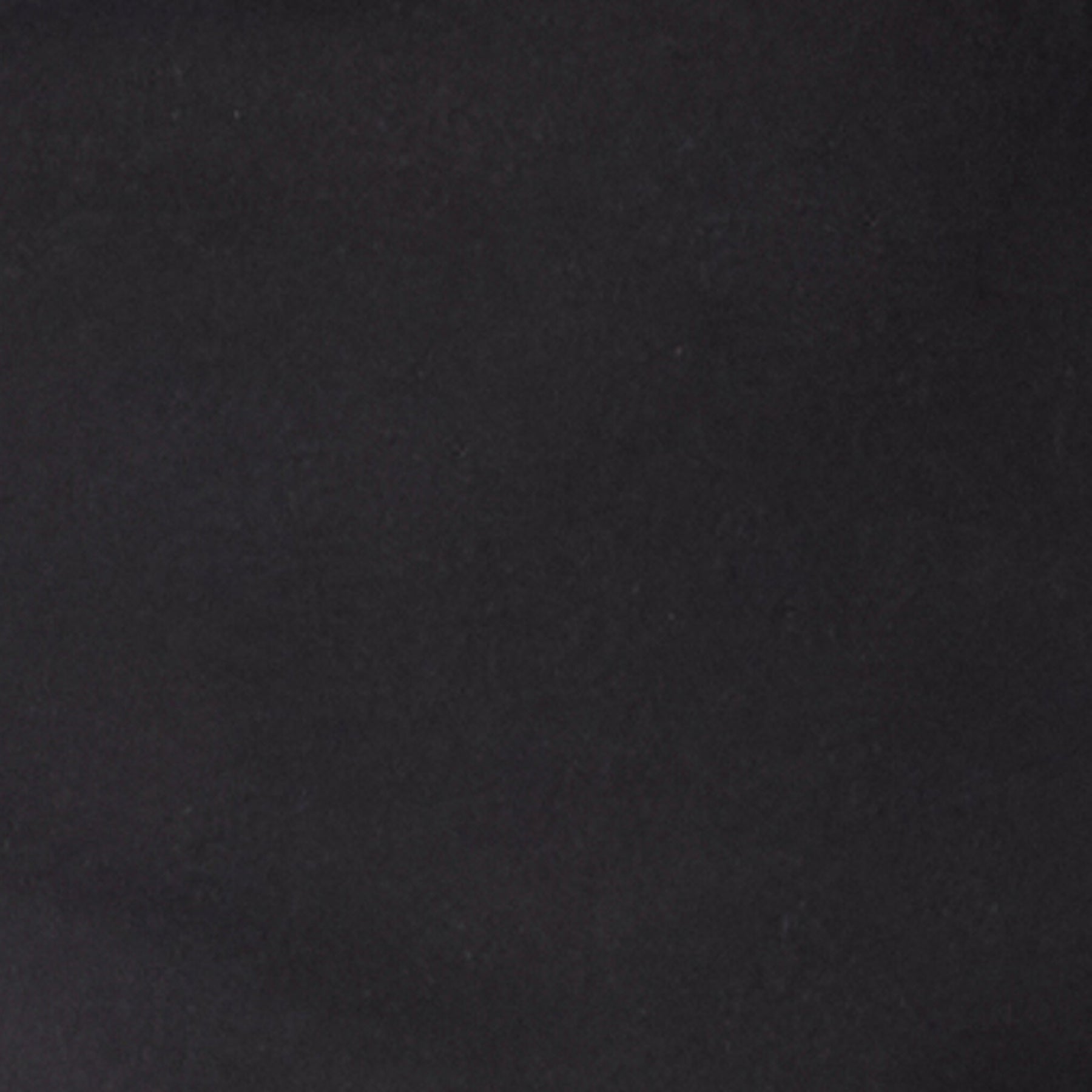 Isha Wide Leg Pant Black
