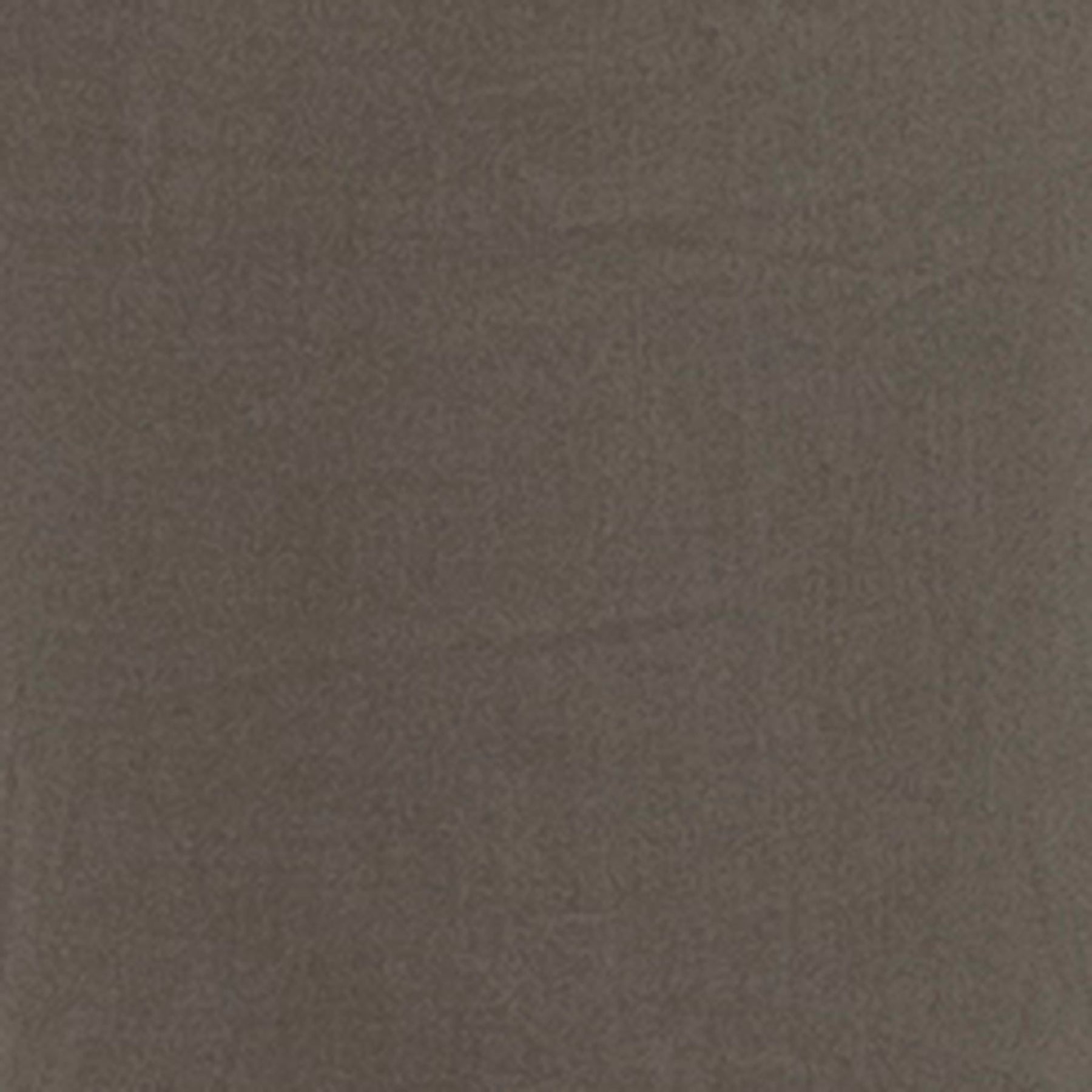 Philly Cotton Pant Moss